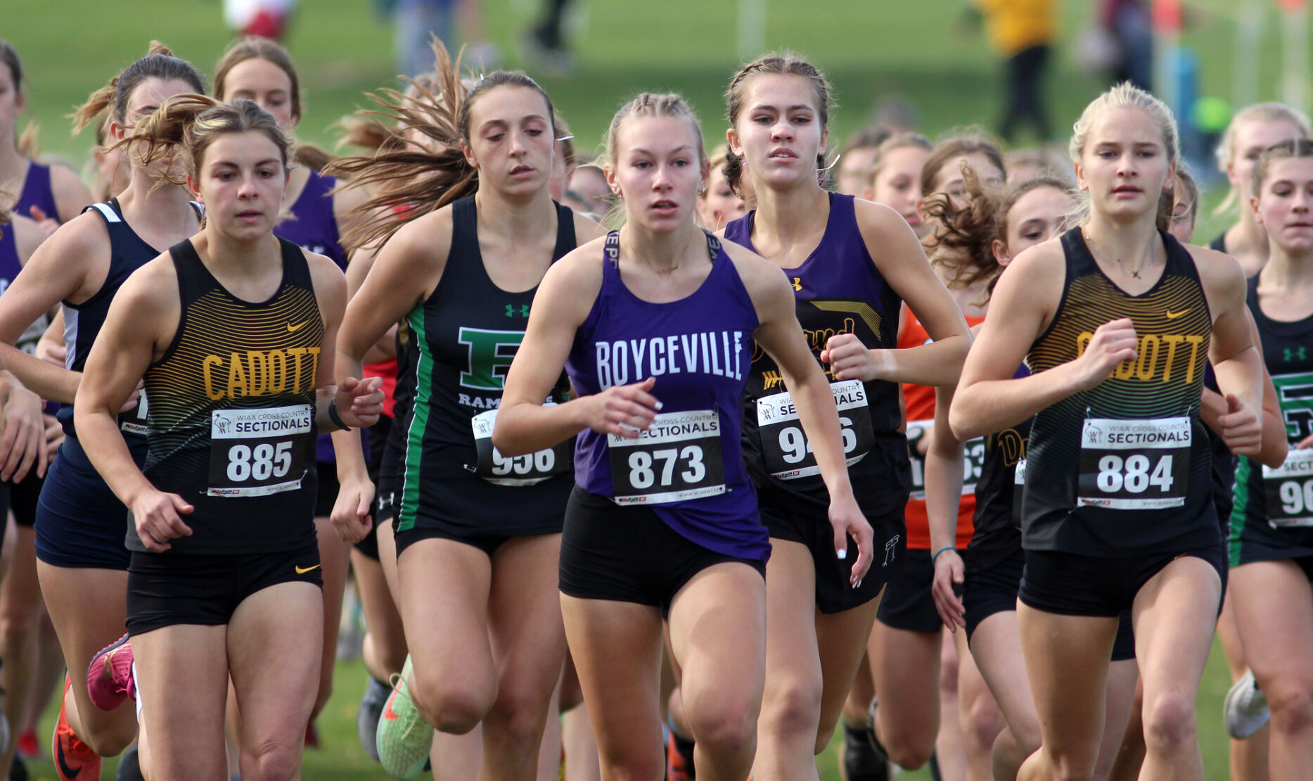 Division 3 cross country sectionals at Cadott 10-22-22